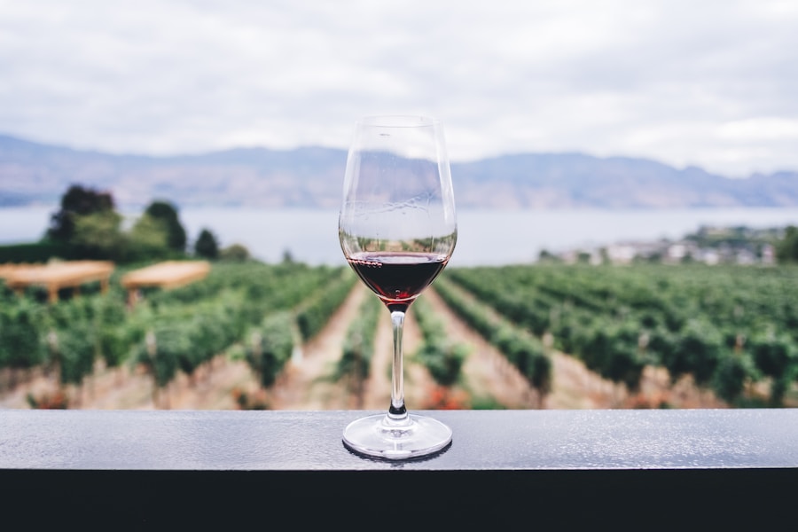 Tokaji Furmint